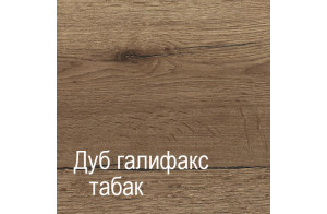 Двухстворчатый шкаф для одежды Г-10 (ДГТ) Гарда